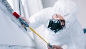 Best Real Estate Pest Inspections  in Ironde, AL